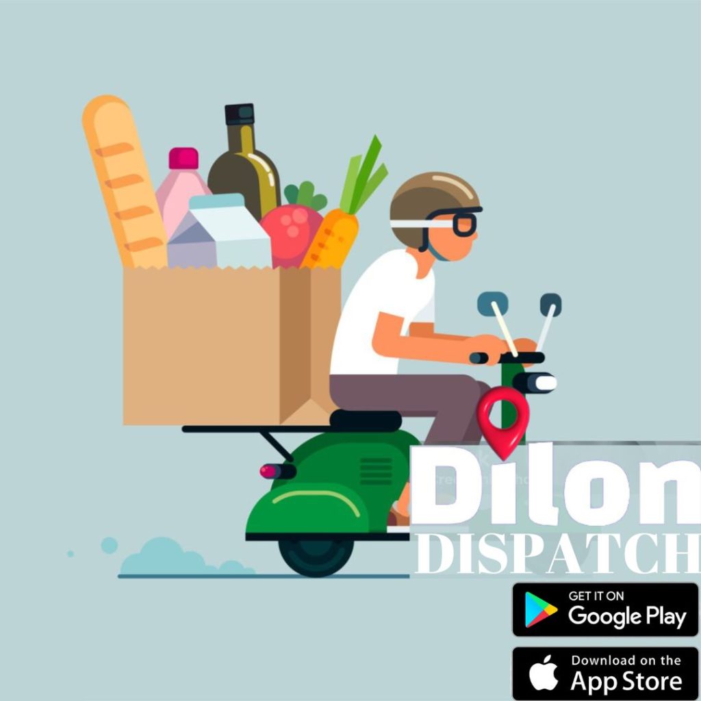 Enjoy an Eco-Friendly Grocery Shopping and Delivery with Dilon